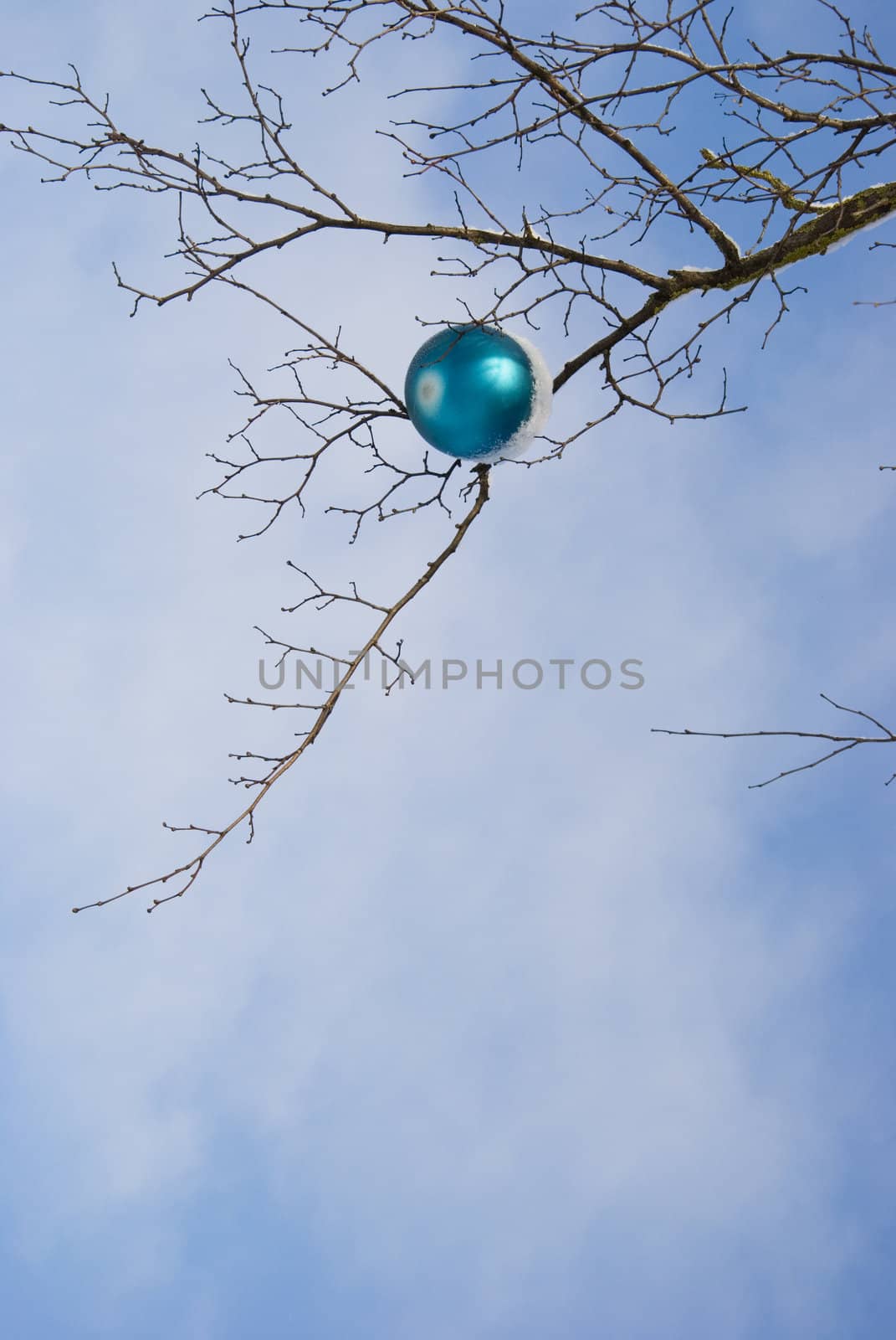 Lonely blue christmas toy covered with snow hanging on tree without leaves.