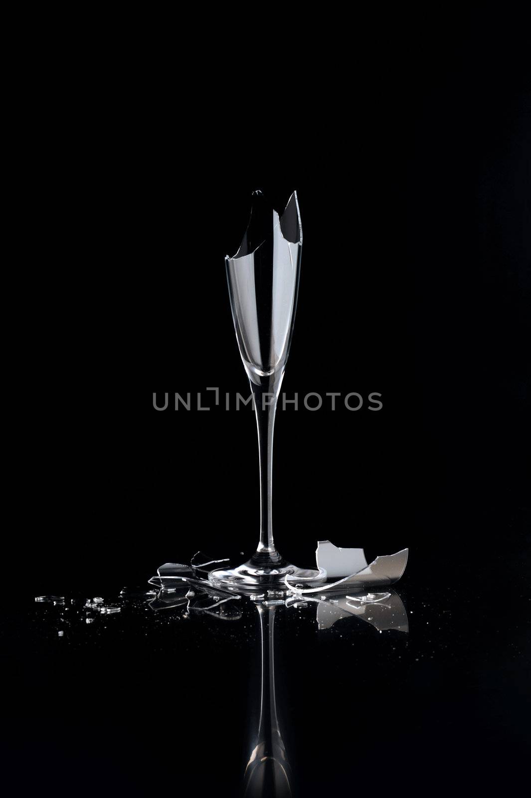 elegant wine glass broken on a dark background