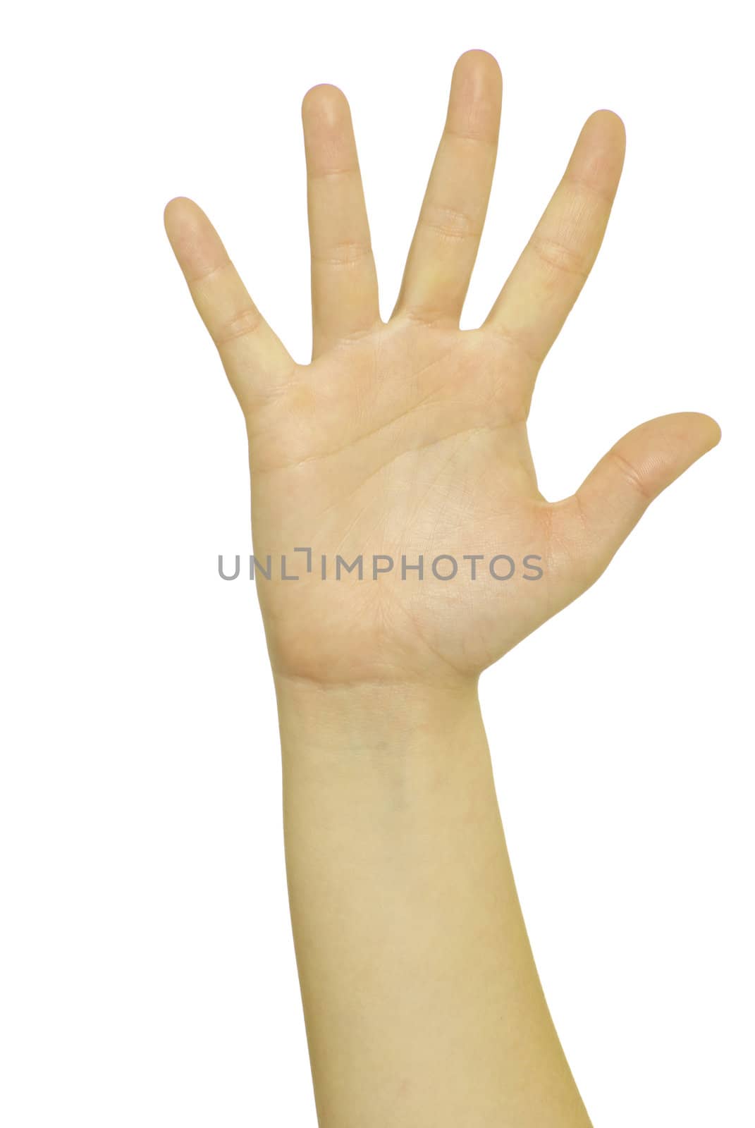 hand gestures isolated on a white 