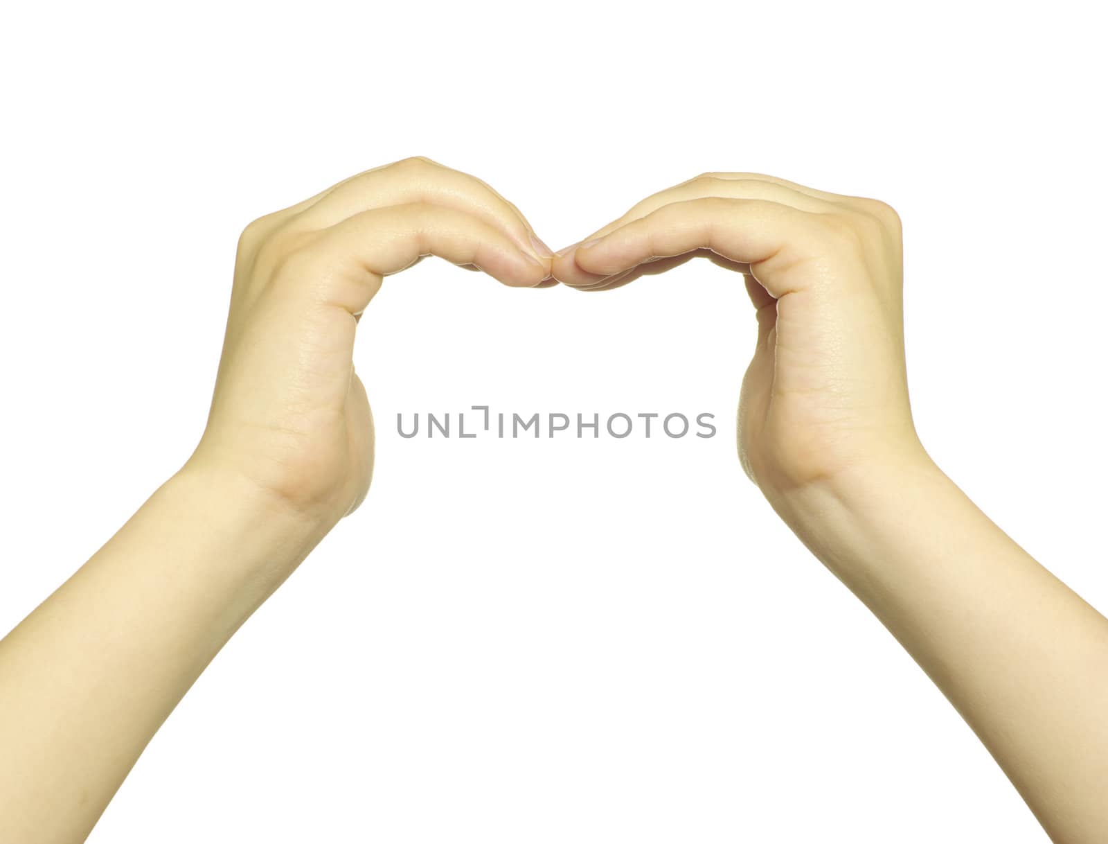 hands isolated on a white background