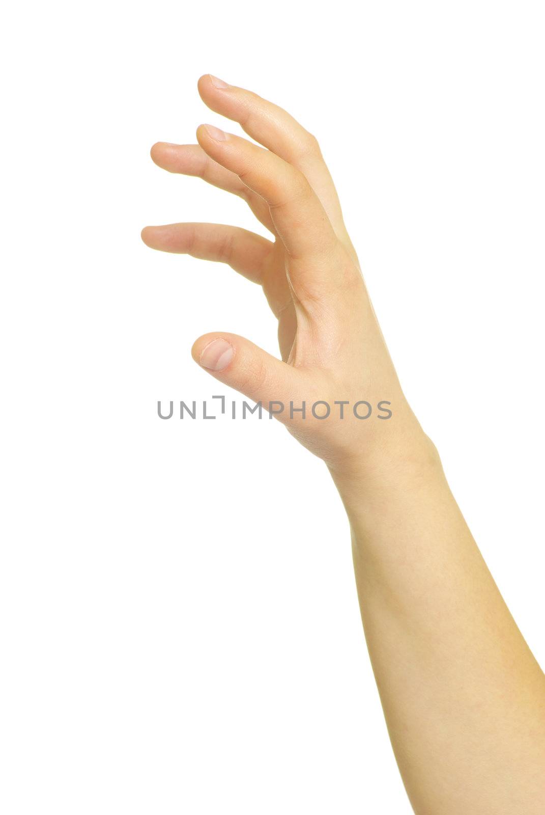  hand isolated on a white