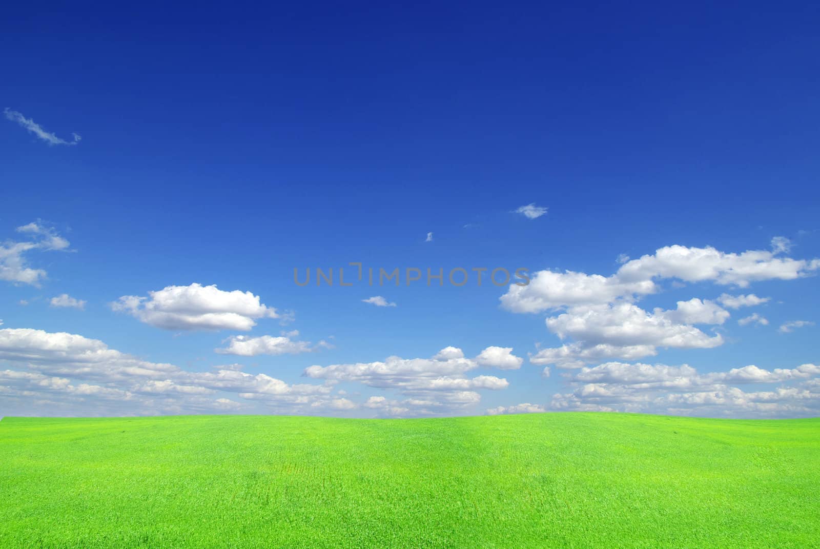 field on a background of the blue sky