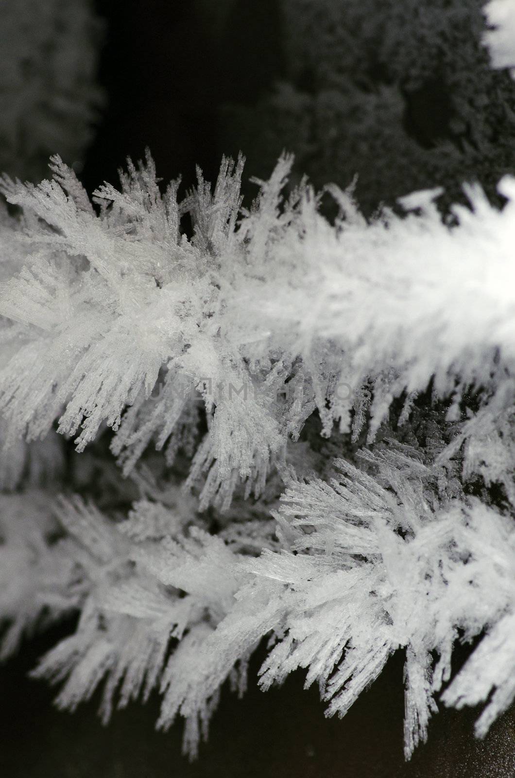 close up of ice crystals forming spiky ornaments
