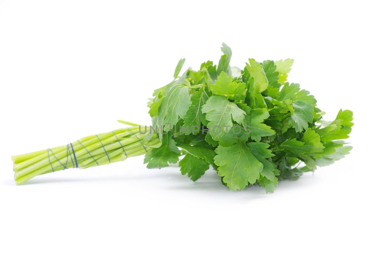 Bunch of fresh green parsley isolated on white background