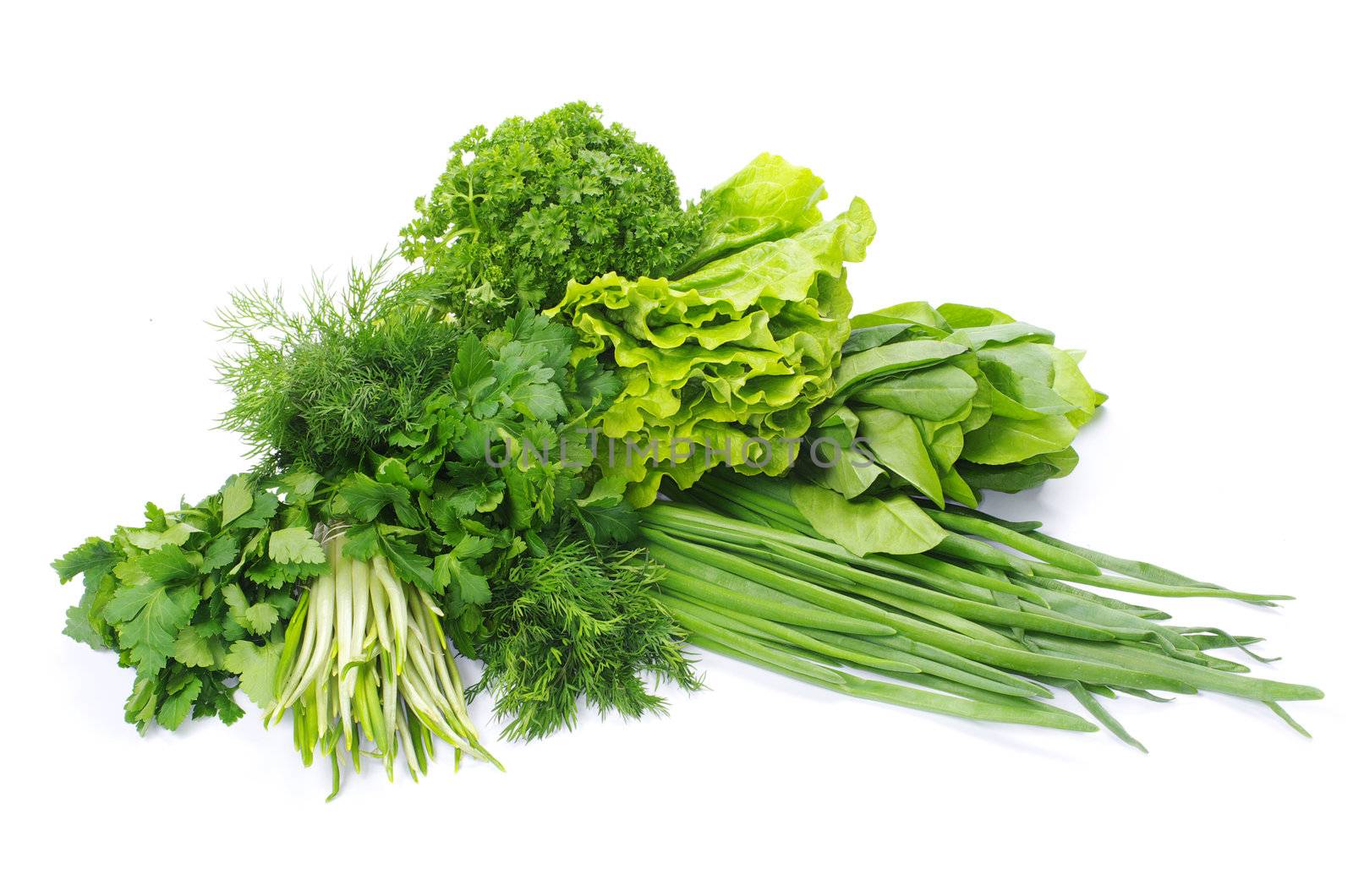 Fresh herbs isolated on white