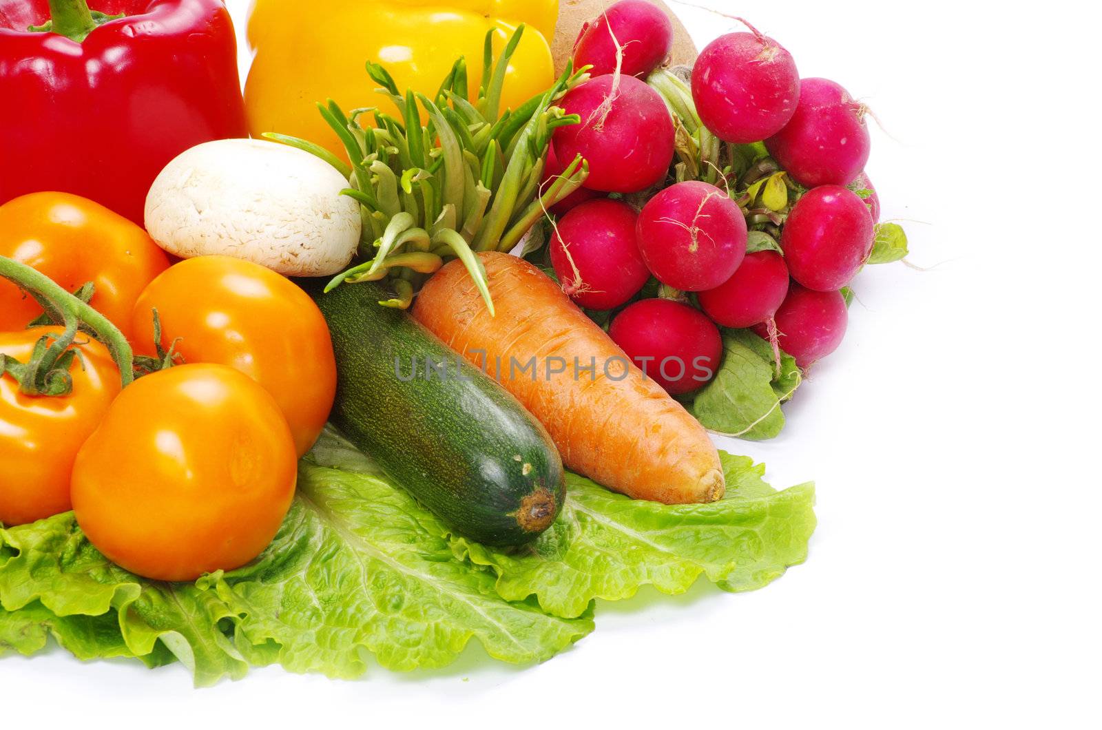 fresh vegetables on the white background