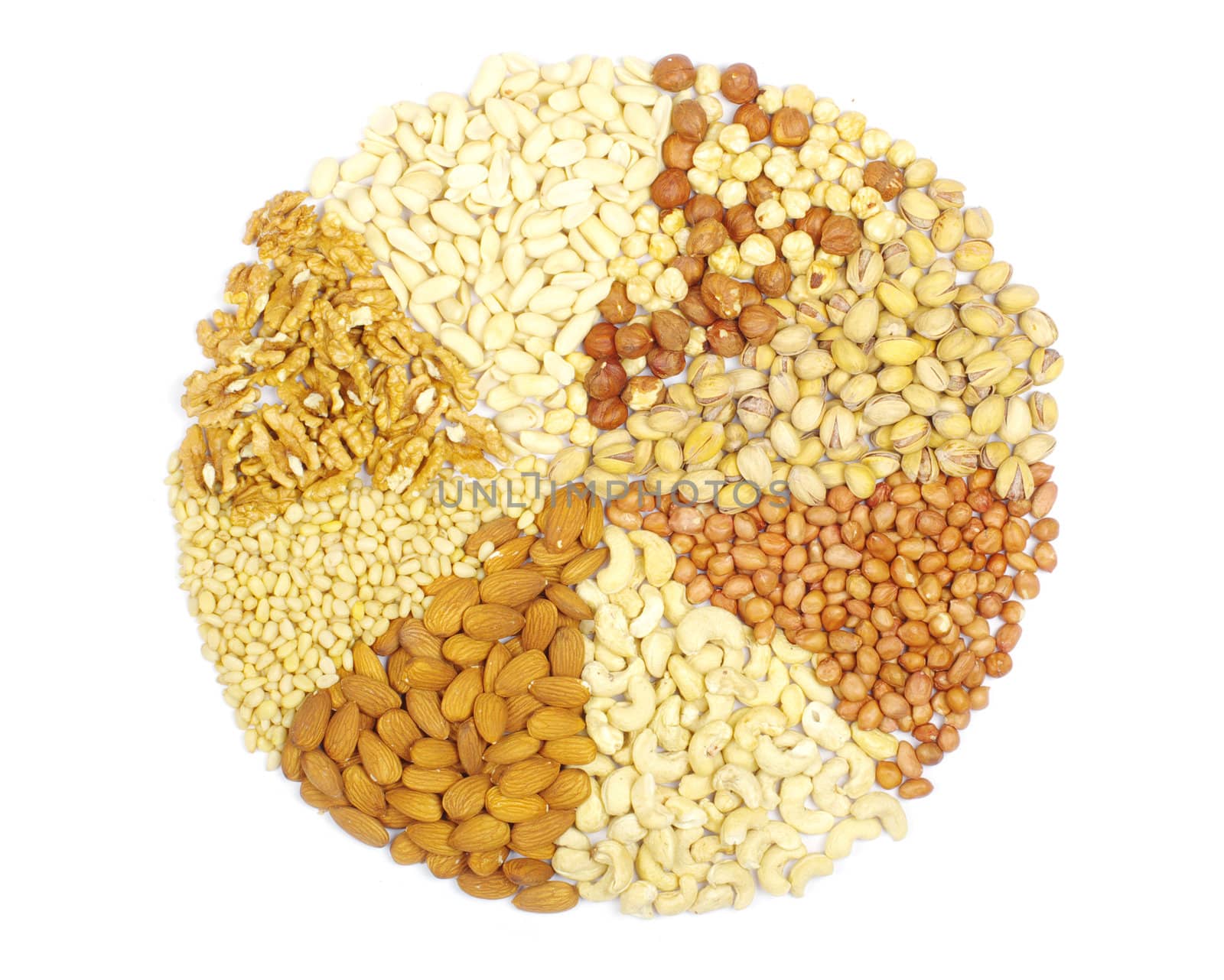 nuts collection isolated on background