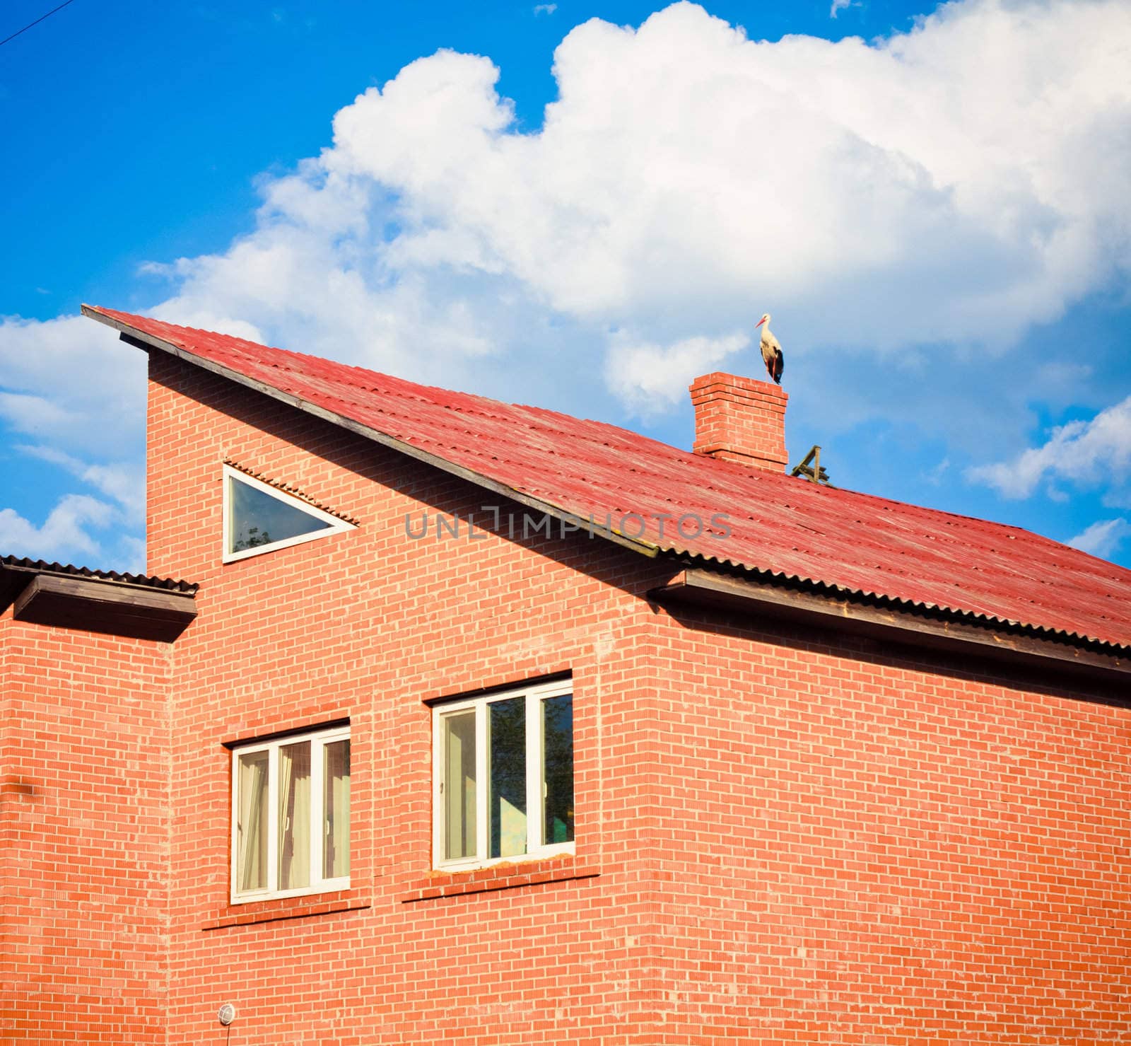 Stork sitting on the top of a roof