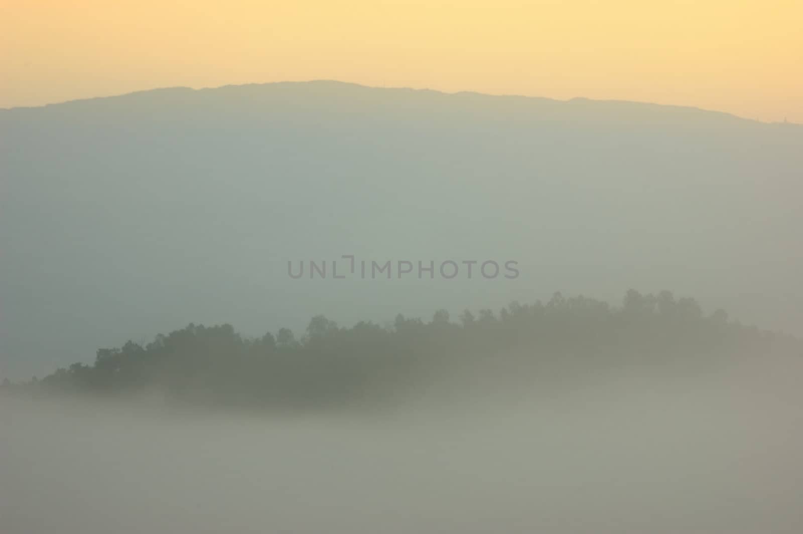 Sunrise in the morning mist cover pine tree forest form  Mae Chaem, Chiangmai Thailand.