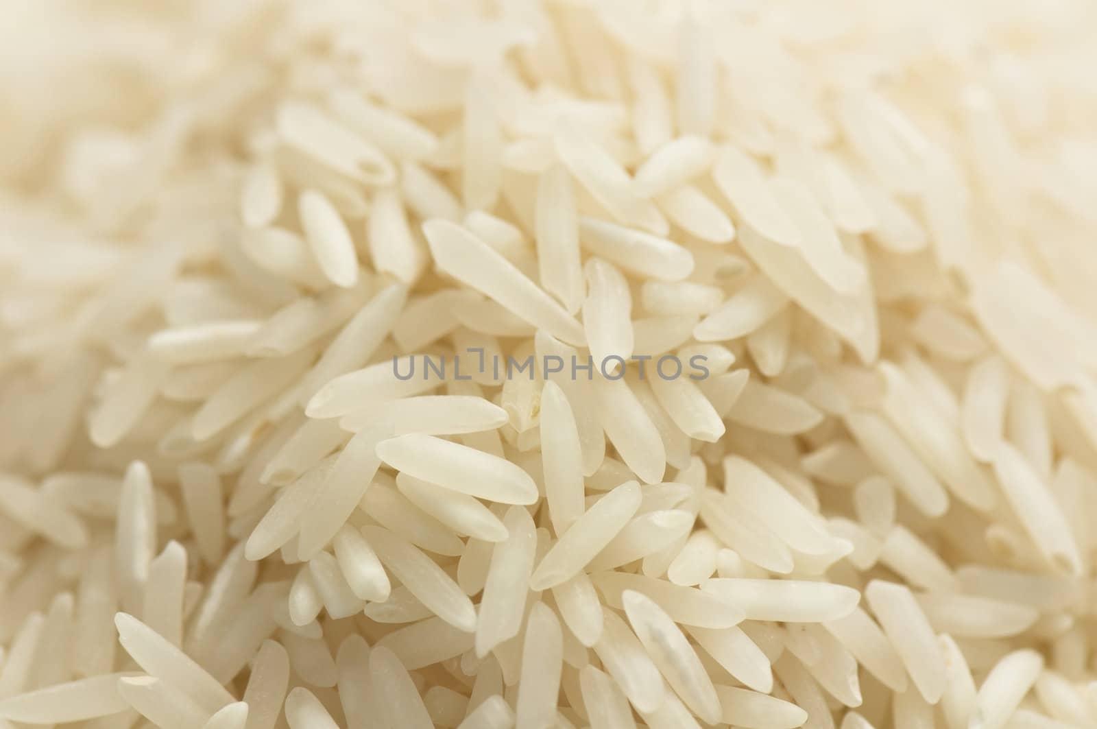 Raw long grain white rice