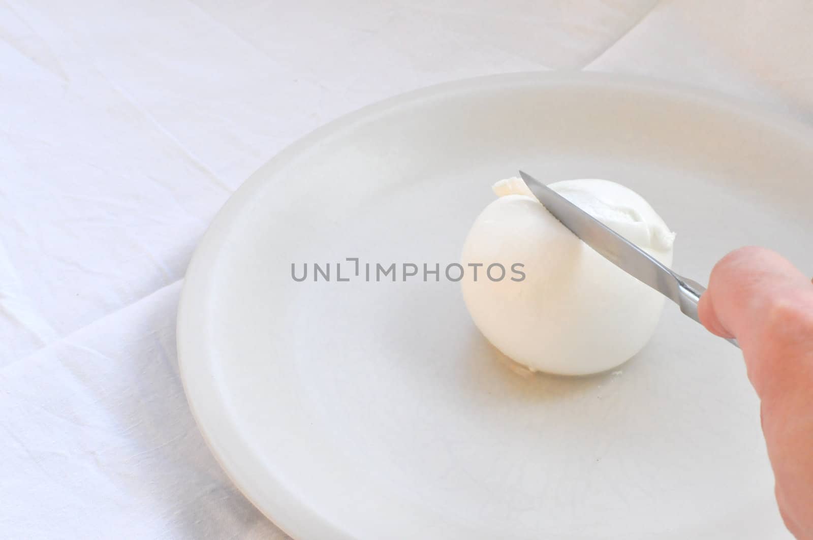 Cook hand cutting traditional Italian mozzarella di bufala (buffalo mozzarella) cheese made from buffalo milk