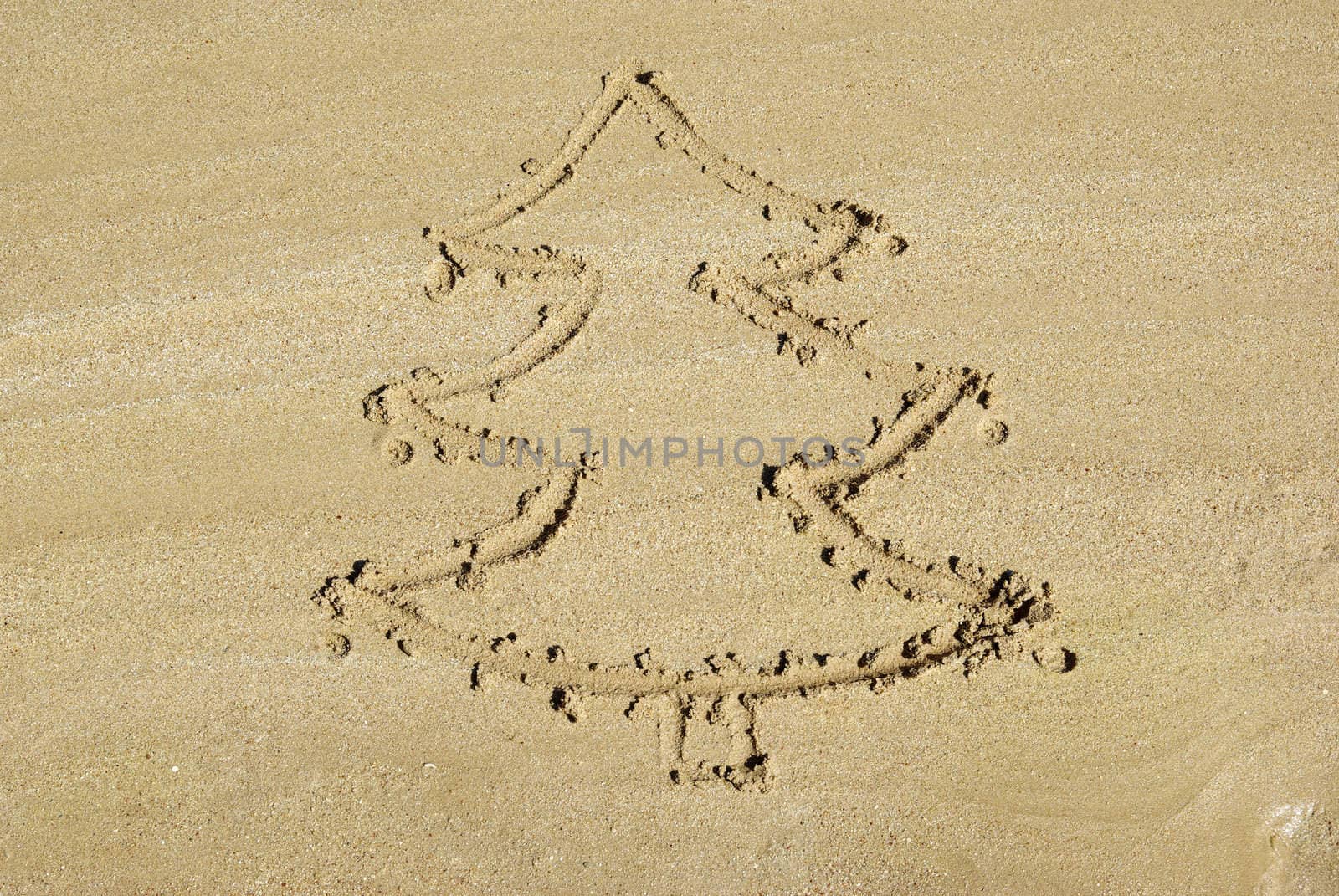 Christmas tree on the beach. New year background.