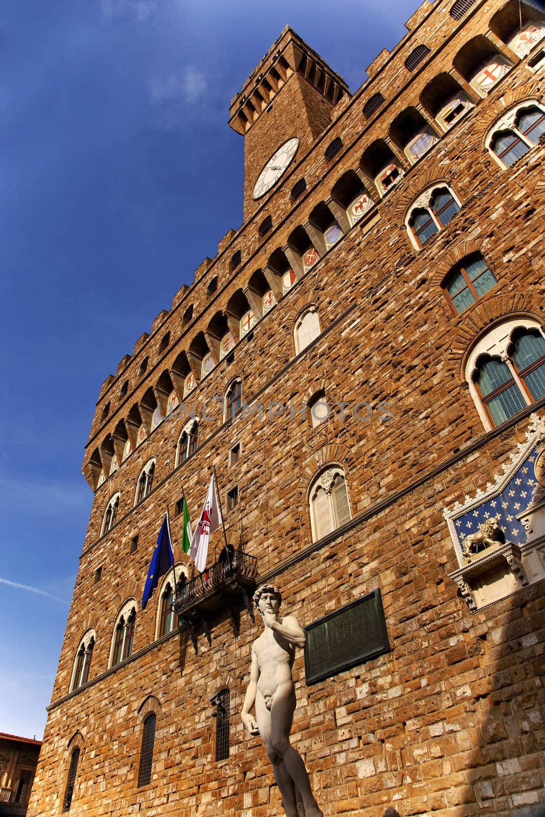 Palazzo della Signoria Vecchio David Statue Florencence Italy by bill_perry