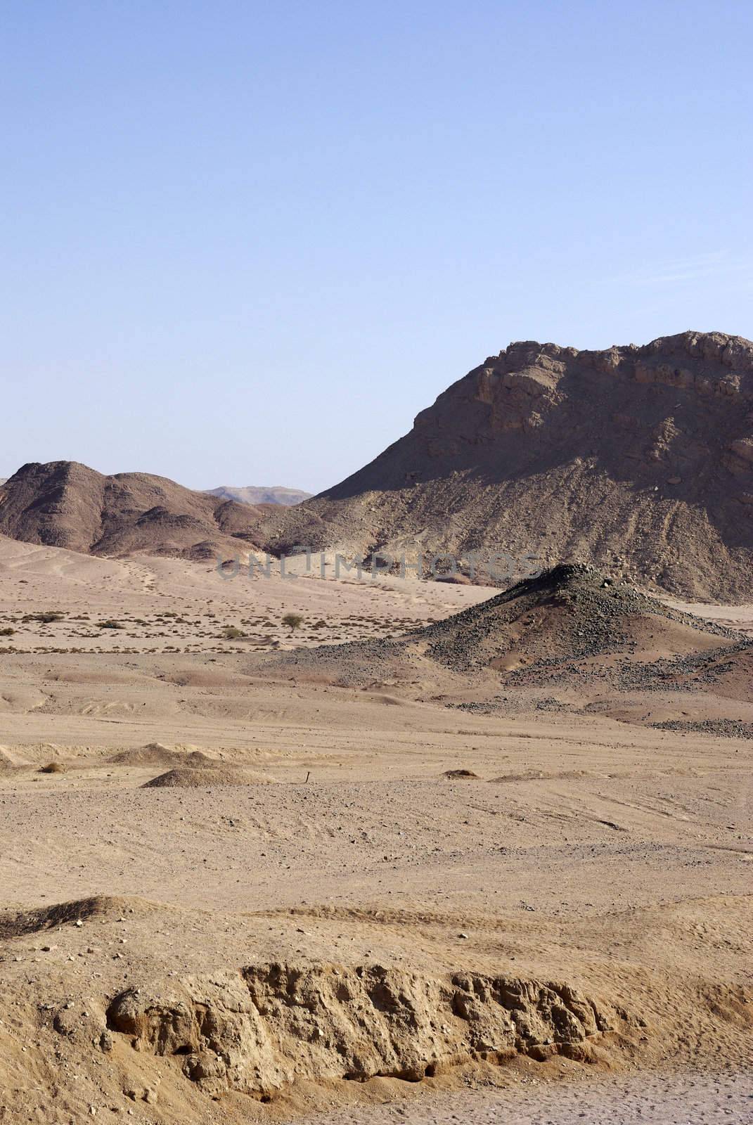 Egyptian desert. Beautiful  majestic landscape with mountains. by borodaev