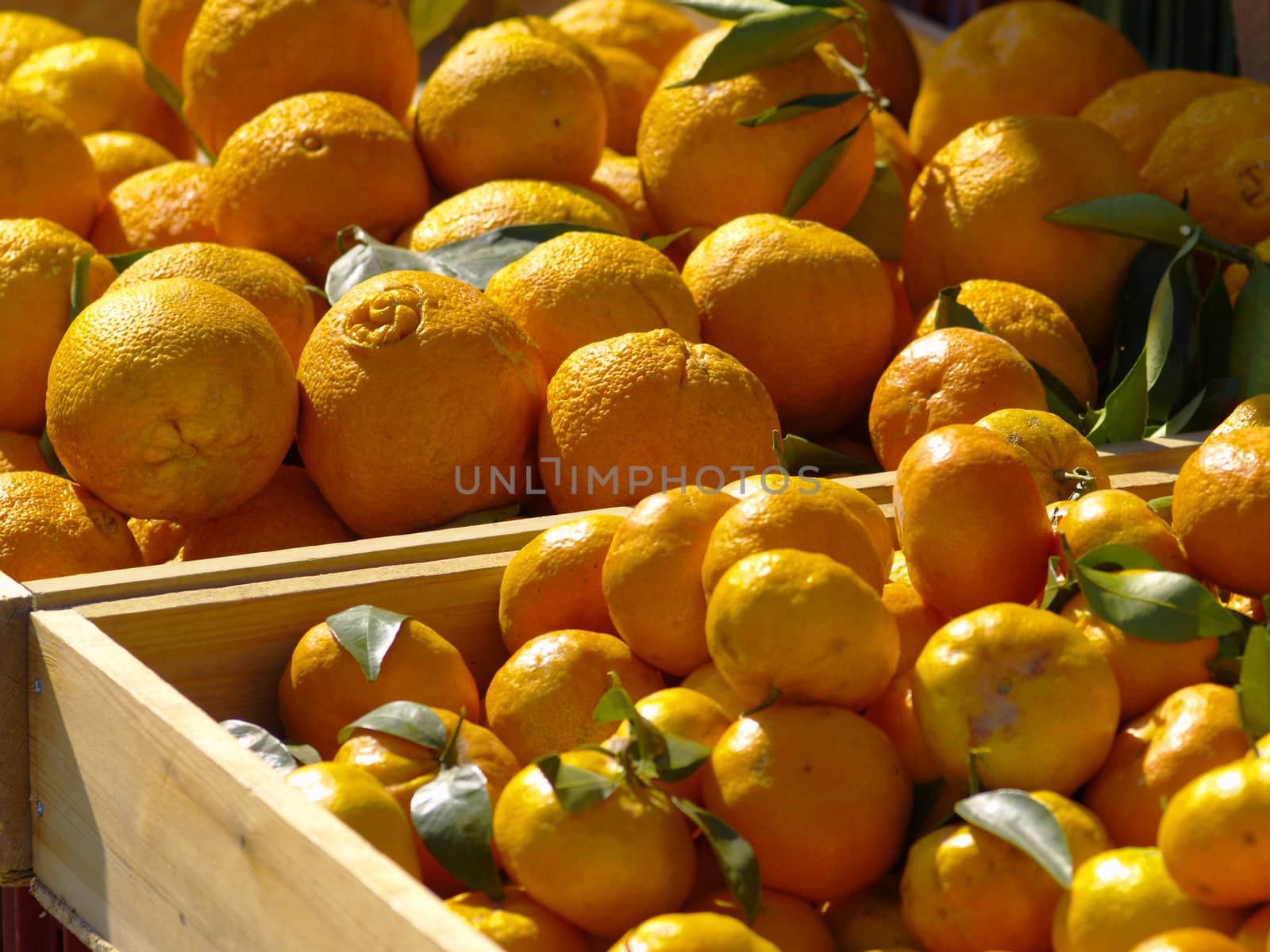 tangerines and oranges for sale