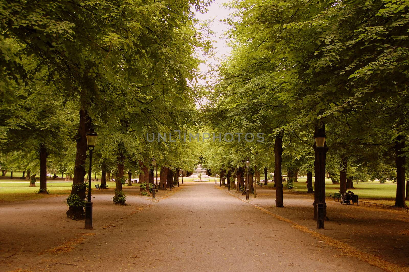 An alley in the park Humlegården in Stockholm.