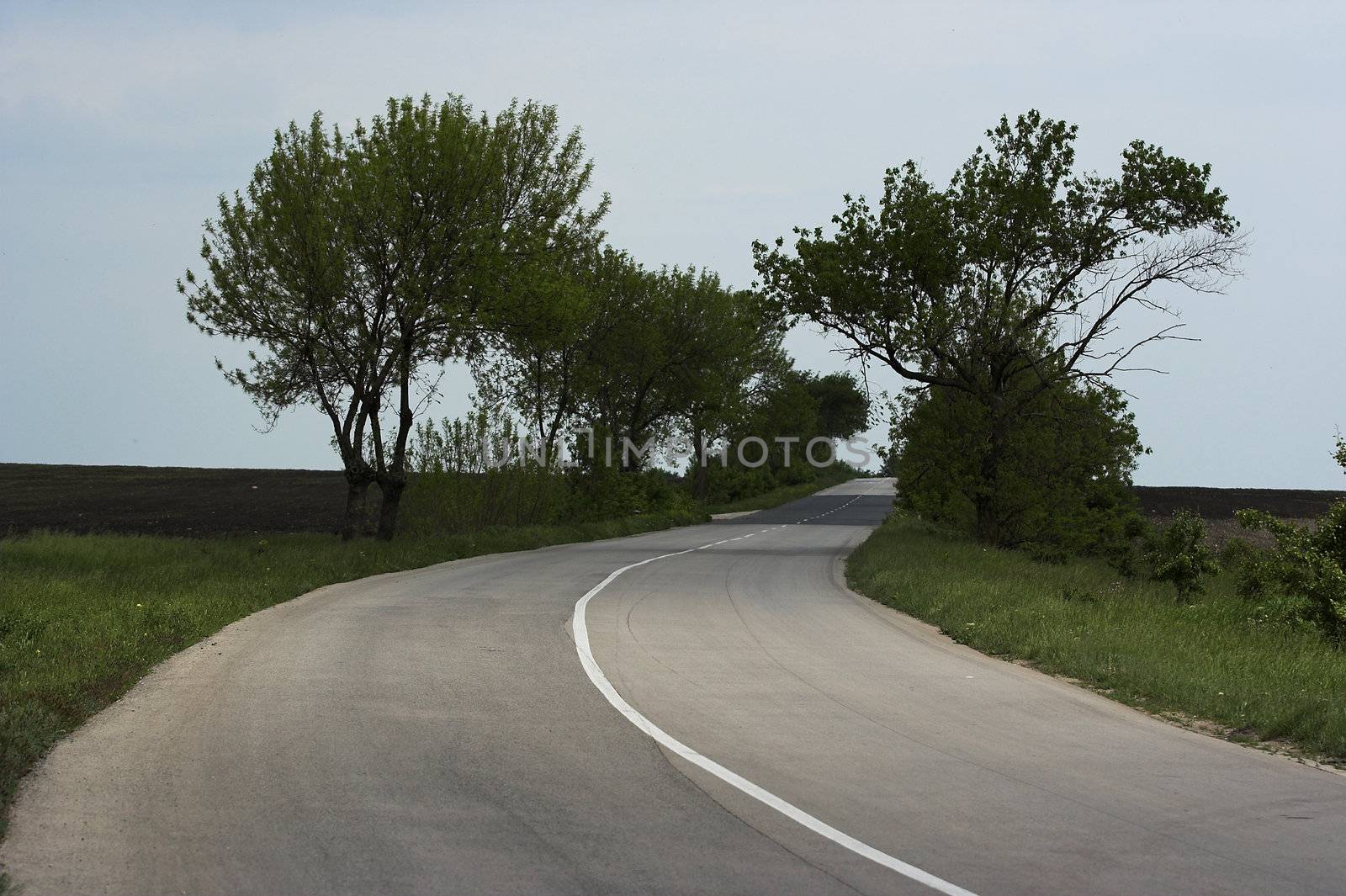 Picture of road in countryside