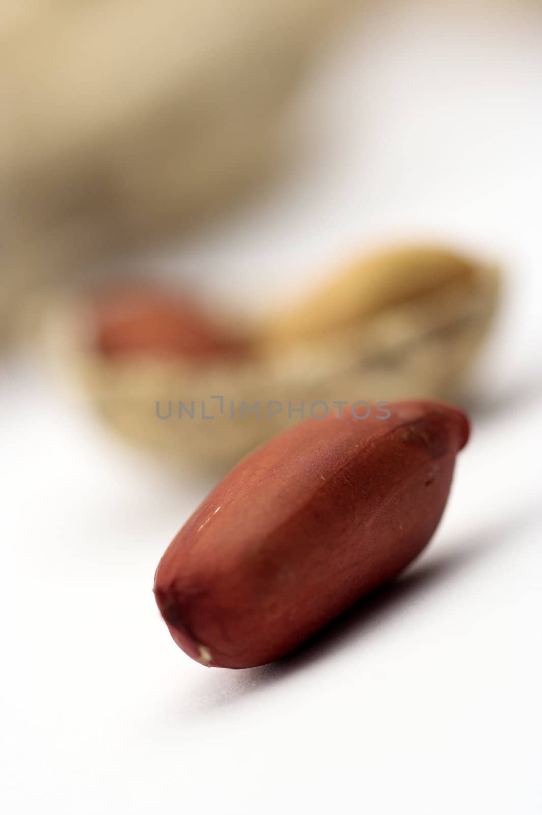 Peanuts close up by alexkosev