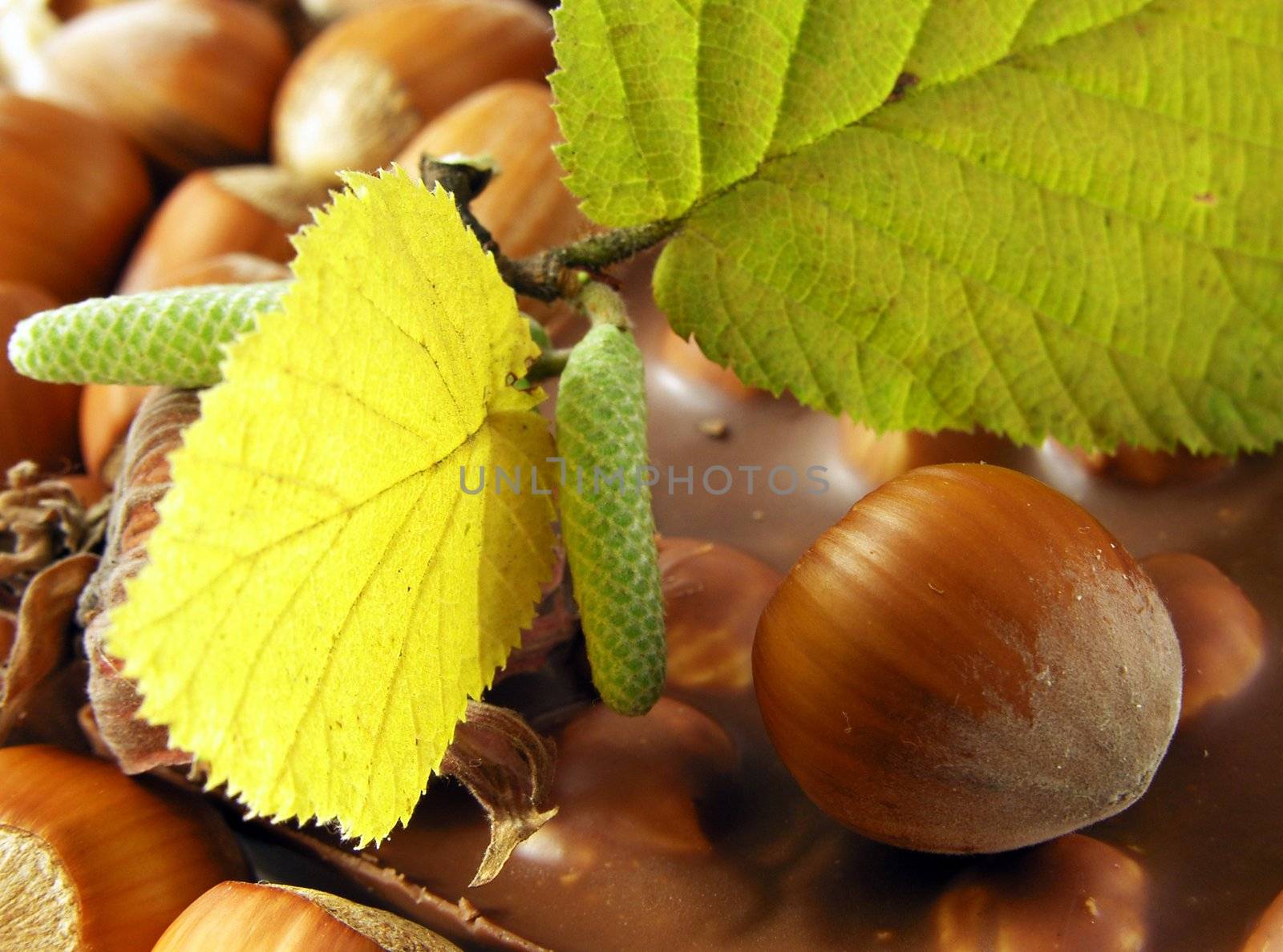 chocolate with nuts 