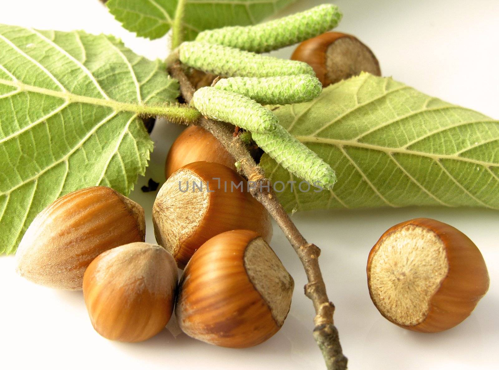 nuts on the white background 