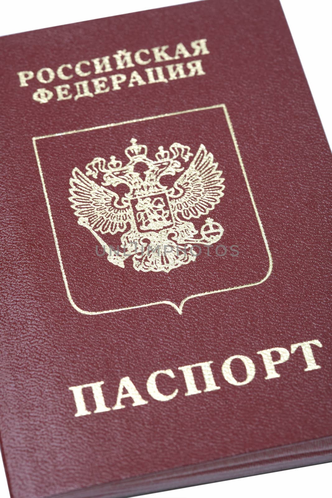 Document of the Person to Russian Federation, Passport