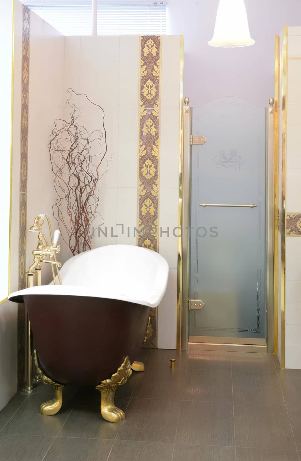 interior of the luxurious bathroom with glass door