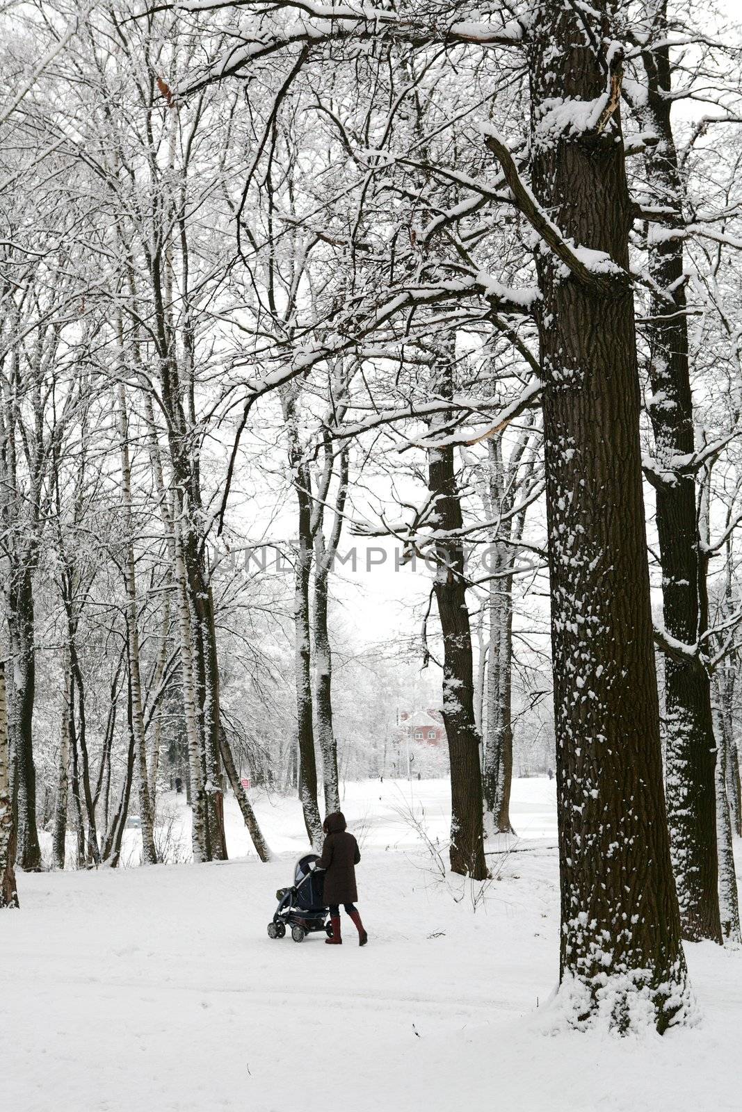 mother with child in sidercar walk in winter park by Astroid