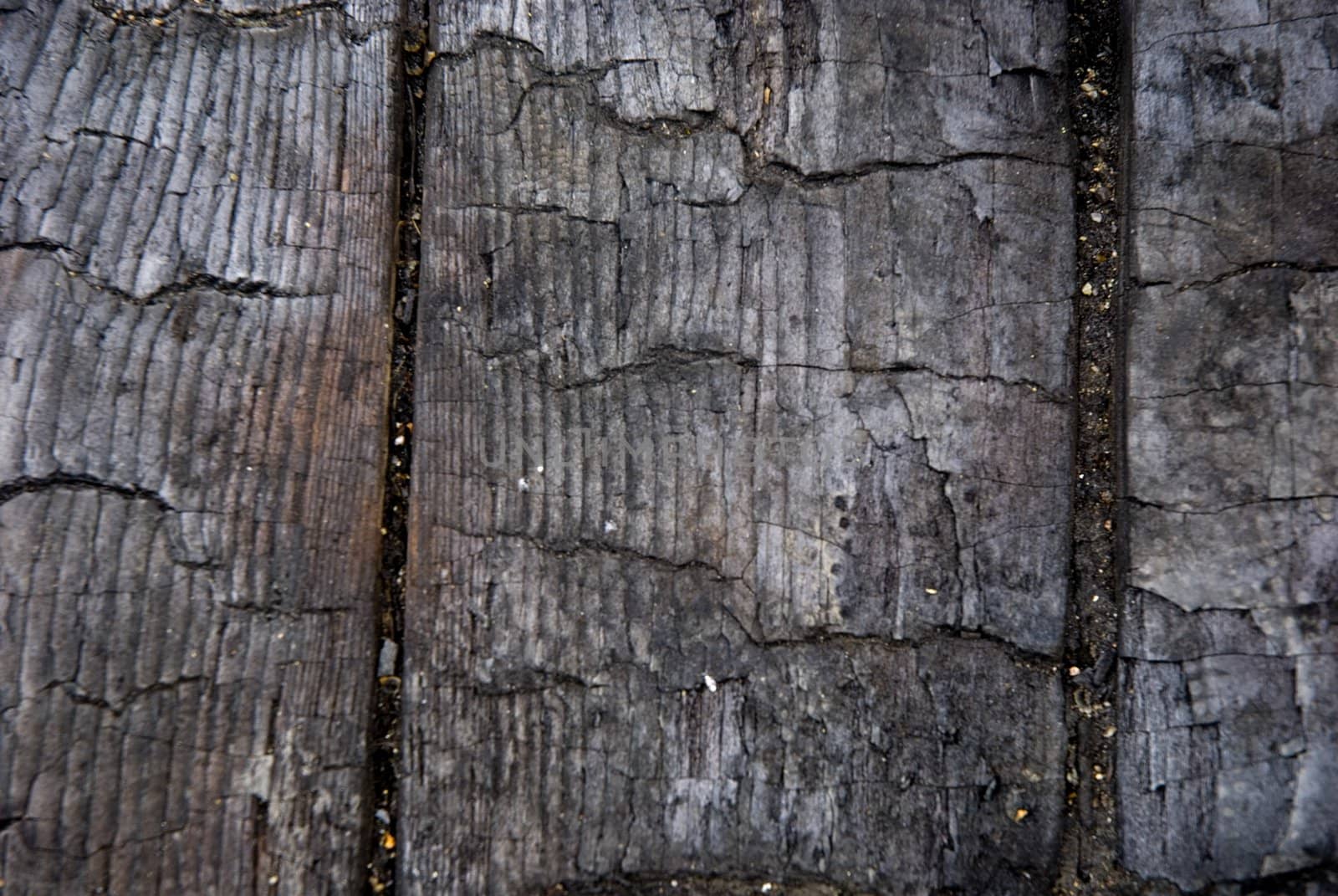 High resolution burnt wood texture. (Oak) 