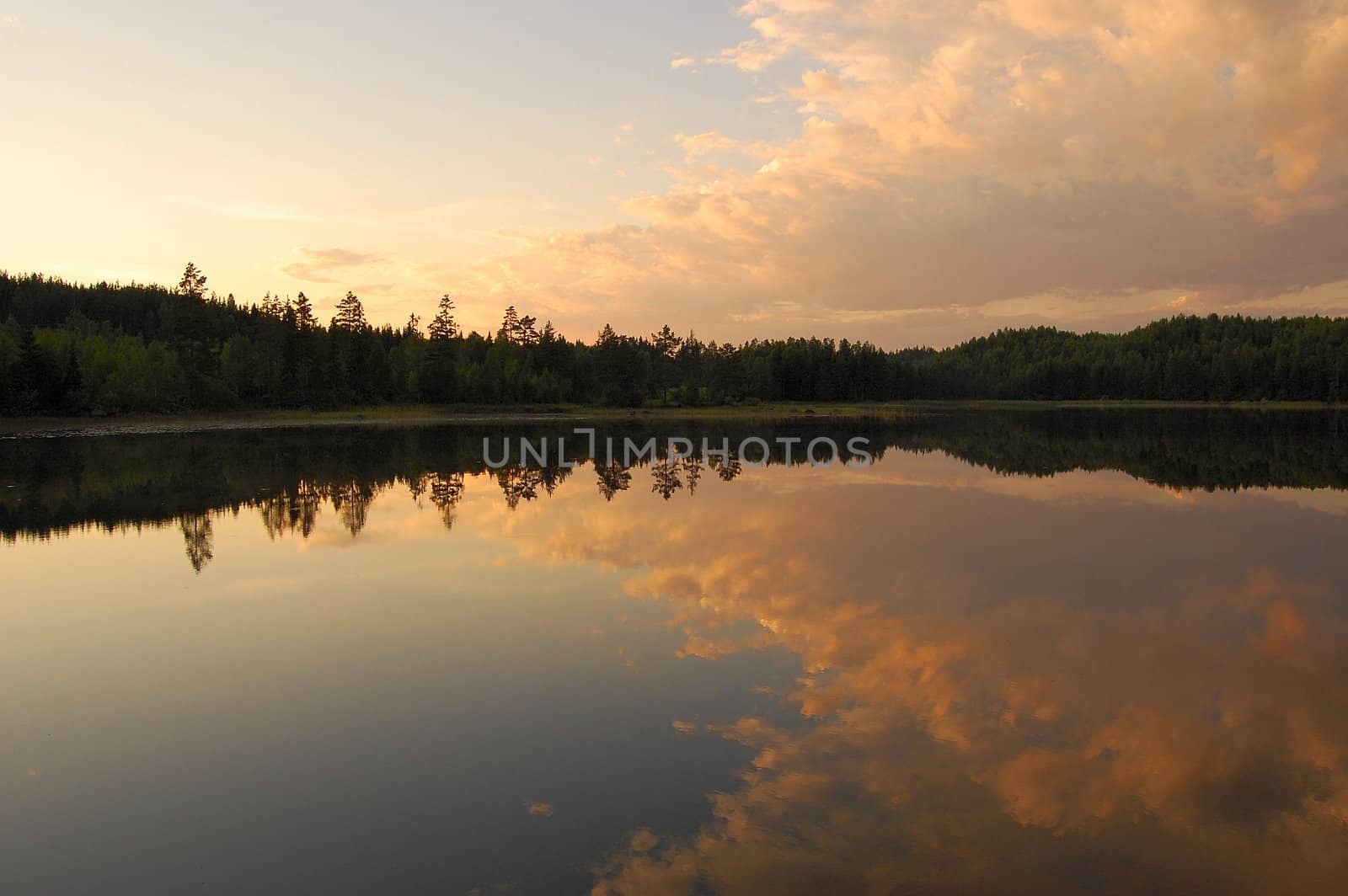 A lake in Värmland an evening in august.