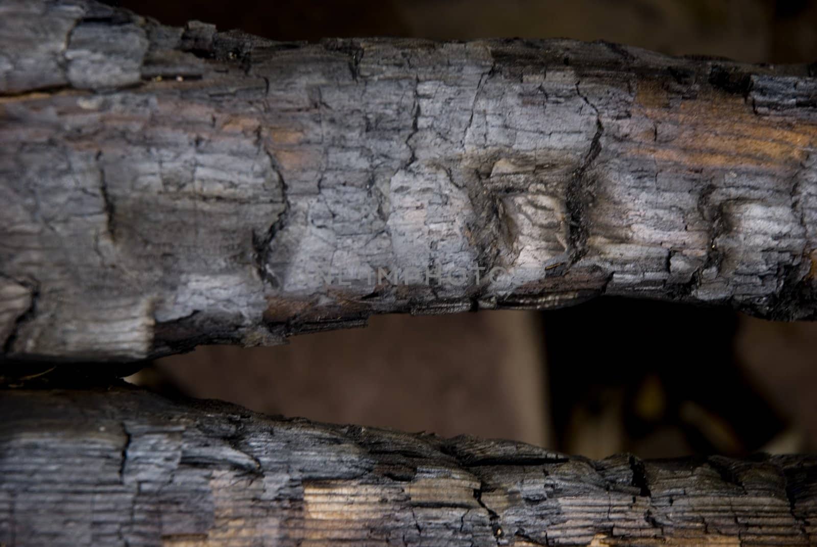 High resolution burnt wood texture. (Oak) 