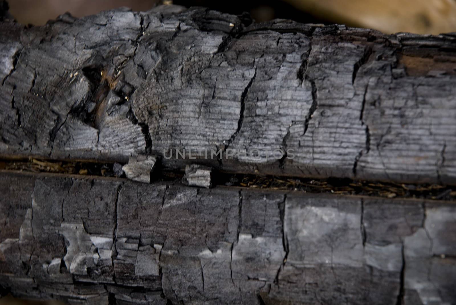 
High resolution burnt wood texture. (Oak) 
