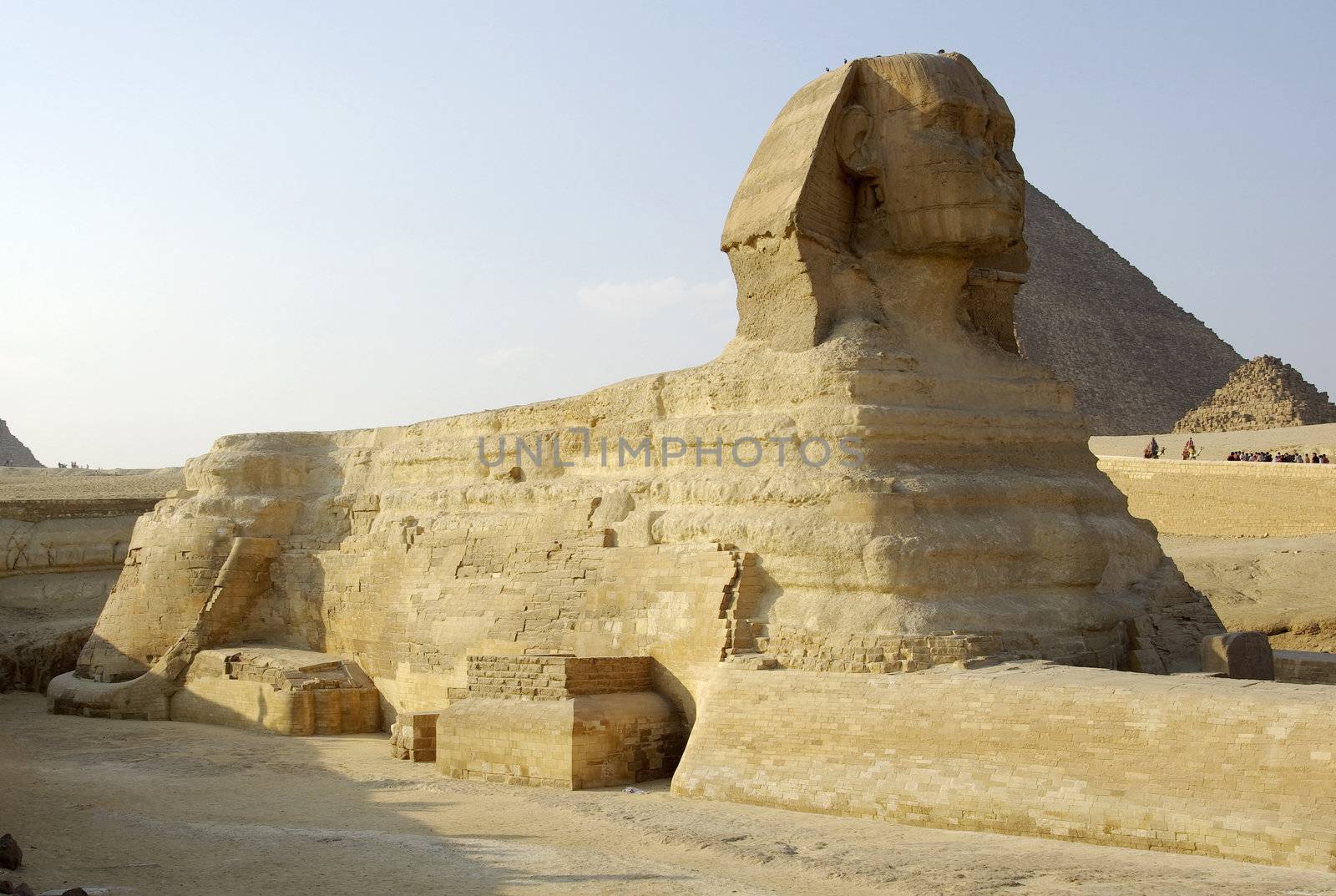 Majestic Sphinx and one of Gizah pyramids in Cairo, Egypt. by borodaev