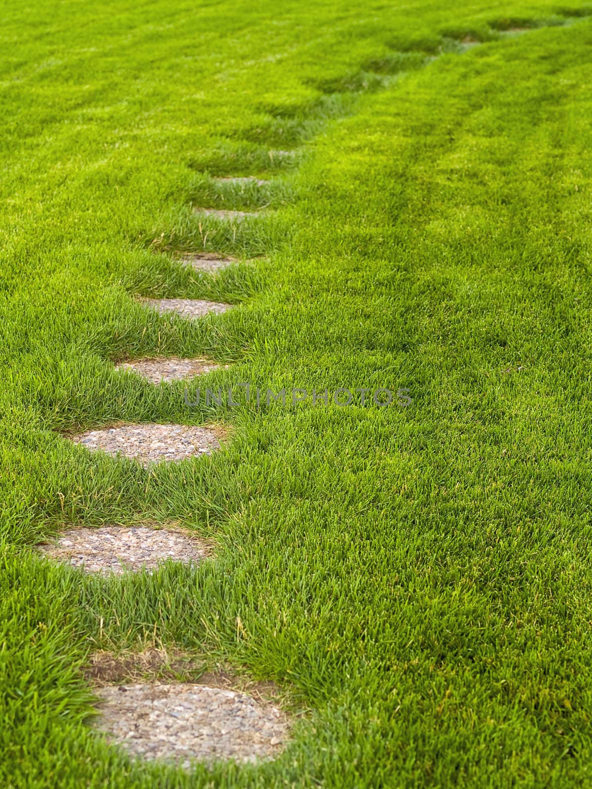 Stone path through a green grassy lawn background