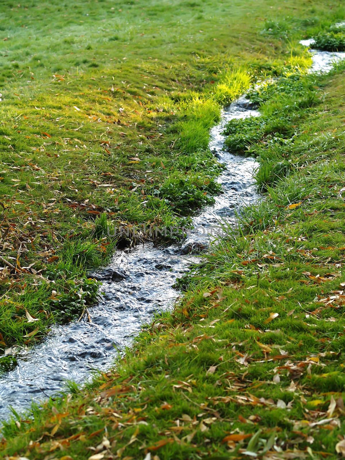 A Small Stream Flows Through a Grassy Green Field