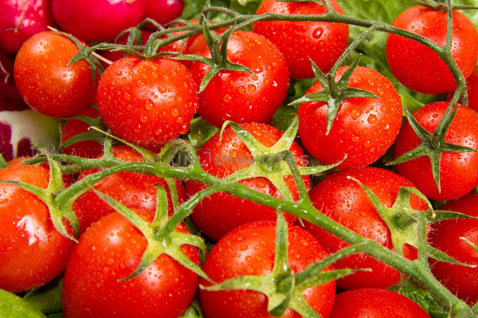 a lot of red tomatoes background 