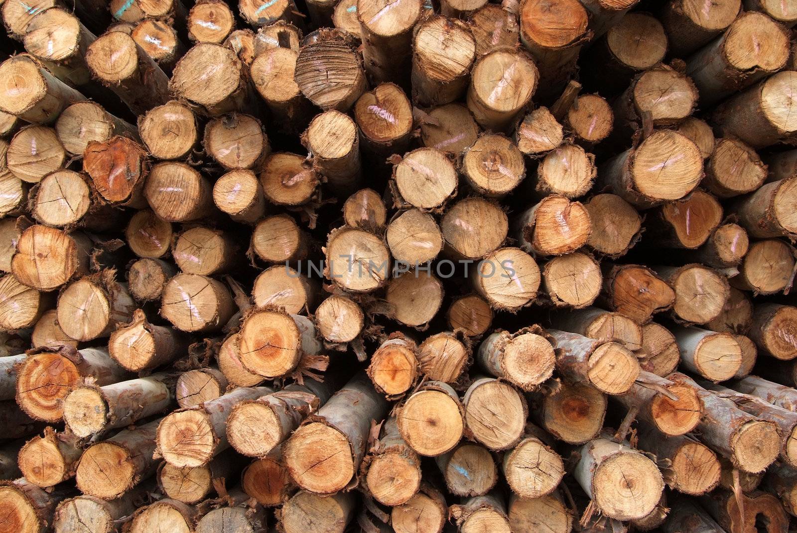 A pile of cut wood for construction ( texture, background, pattren)