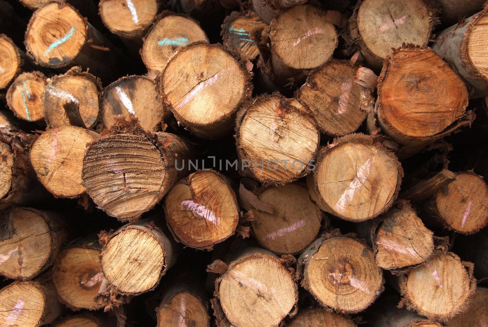 A pile of cut wood for construction ( texture, background, pattren)