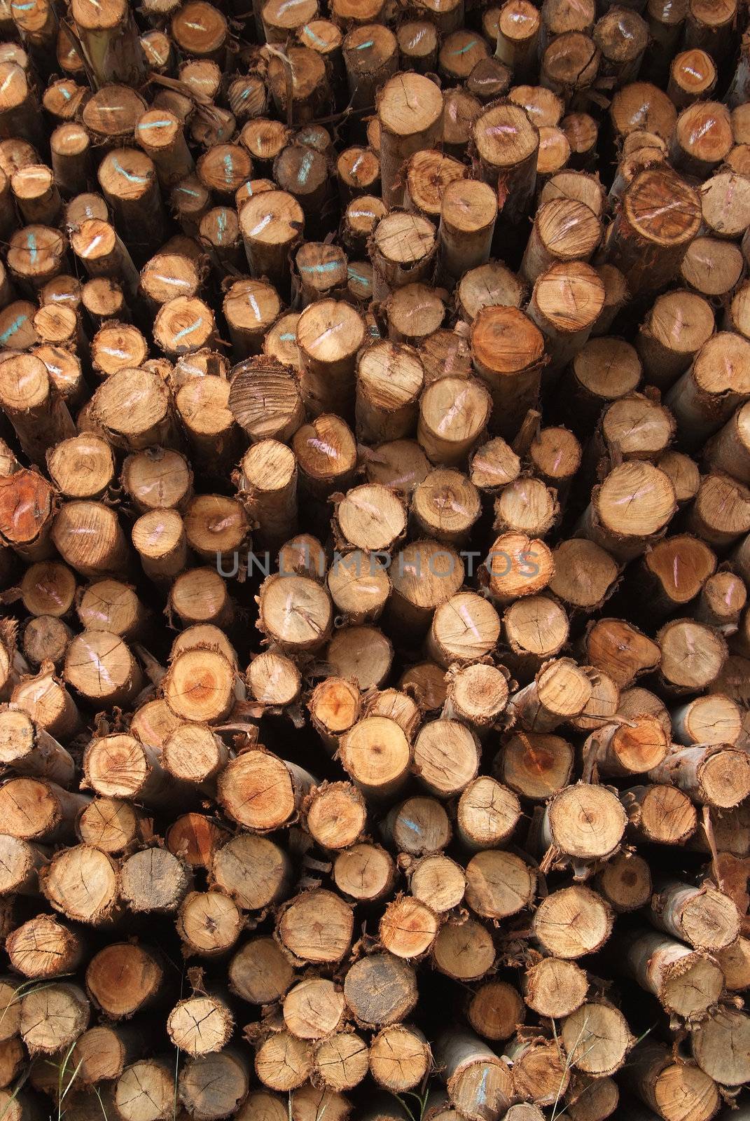 A pile of cut wood for construction ( texture, background, pattren)