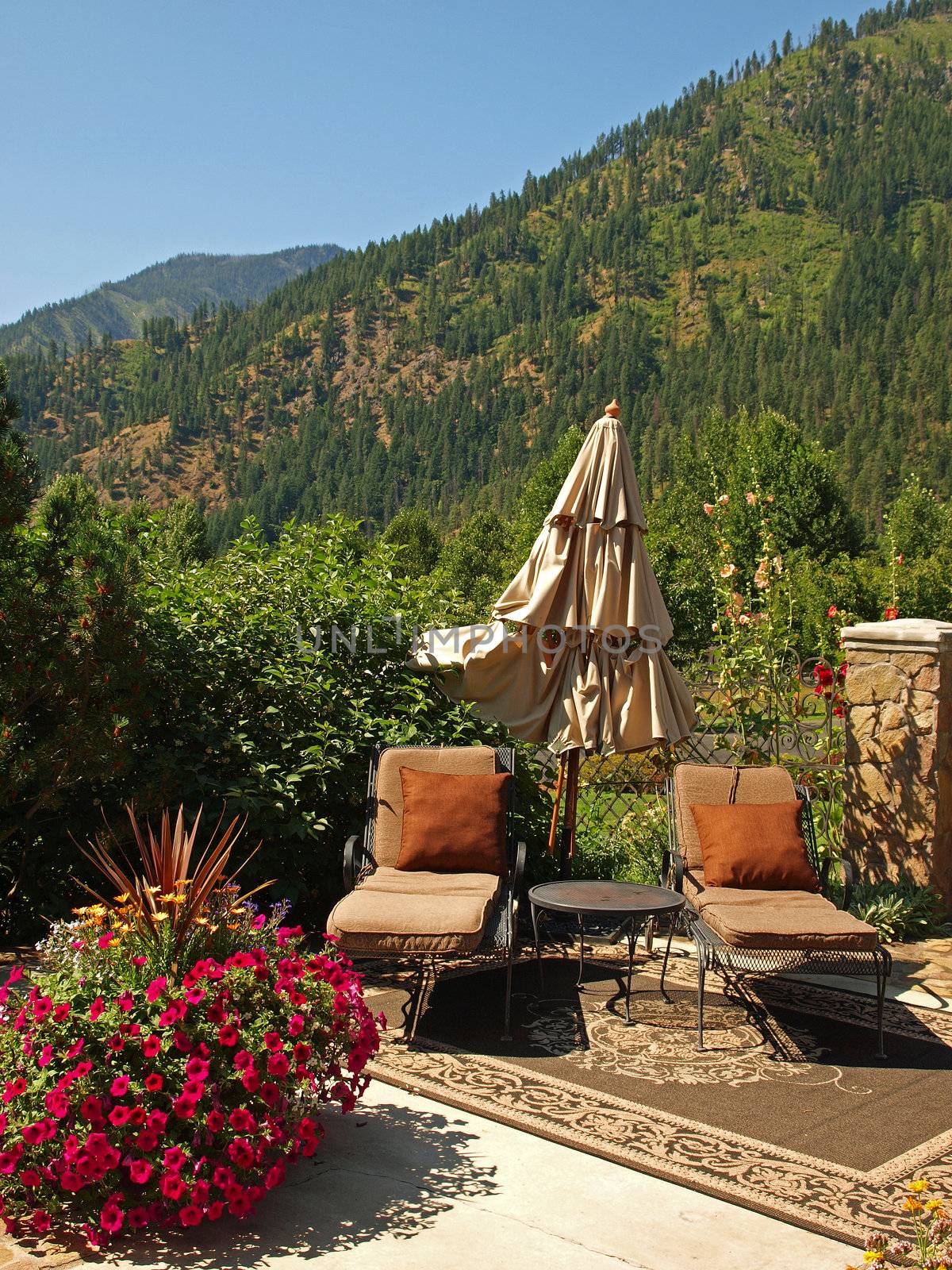 Two Empty Lounge Chairs in a Garden Setting