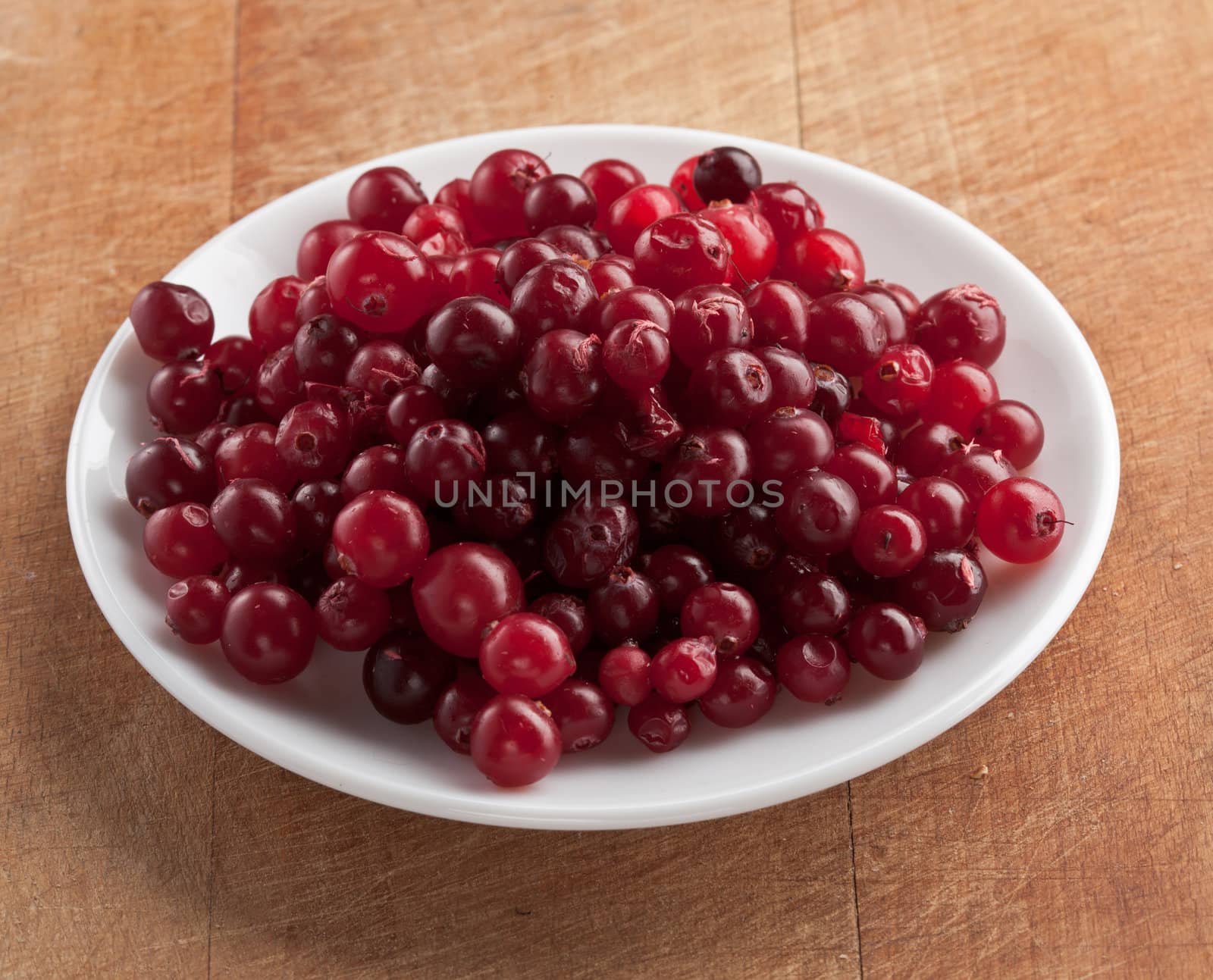 food series: ripe and juicy cranberries on plate