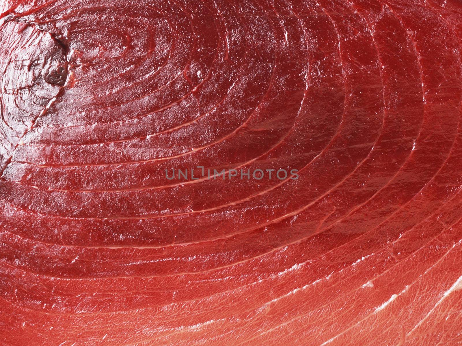 Fresh red salmon texture. Closeup isolated on