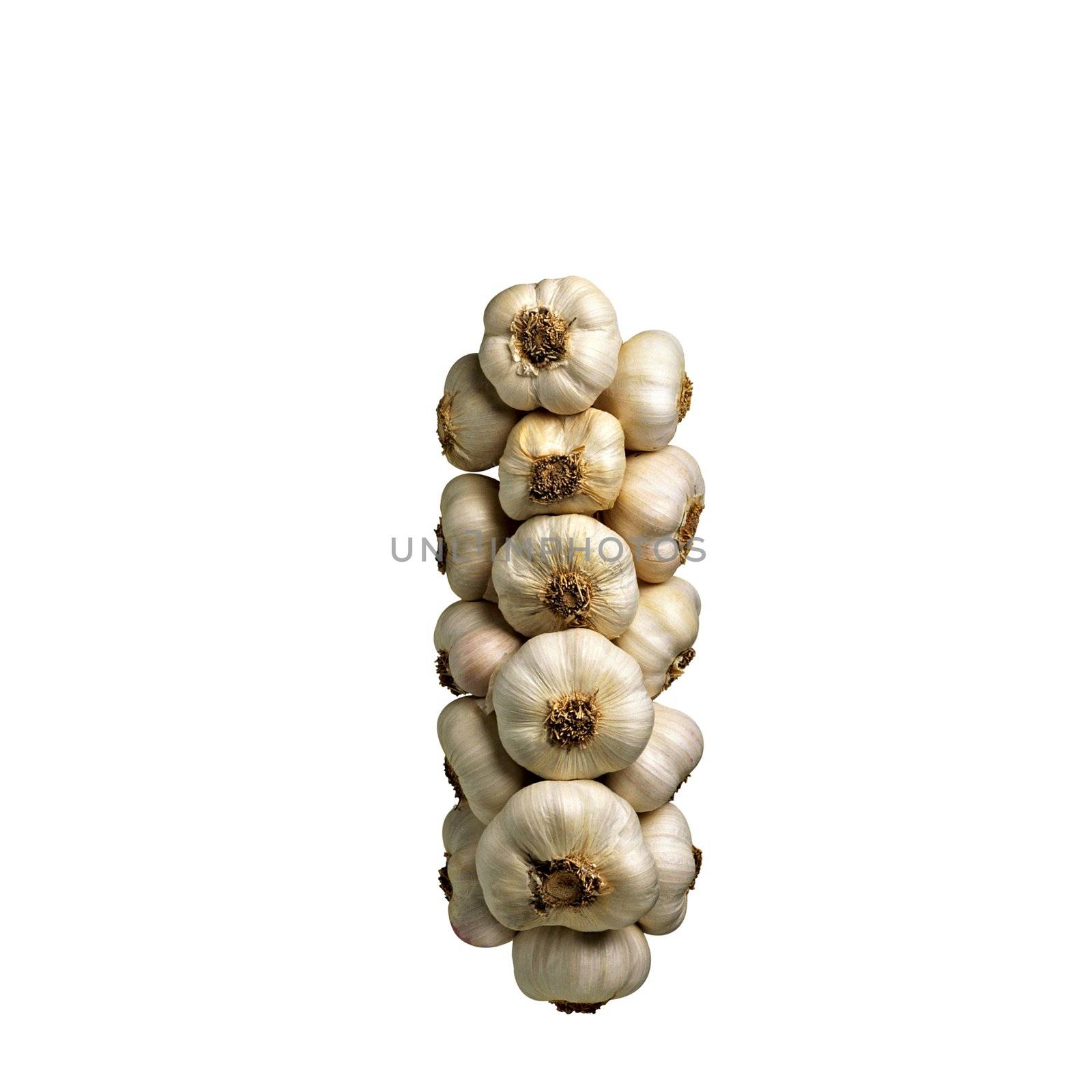 Bunch of garlic isolated on white background