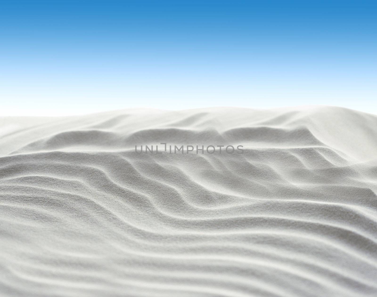 desert landscape