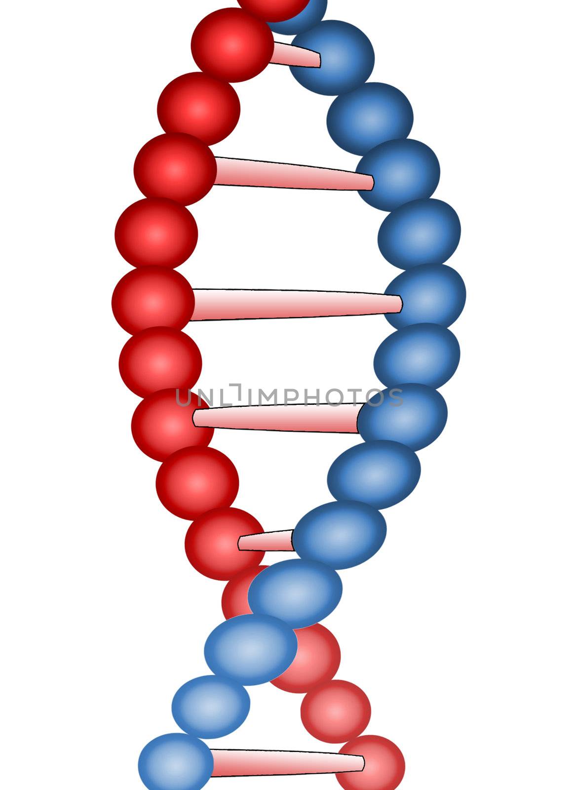 Molecule of DNA, genetic information isolated close up