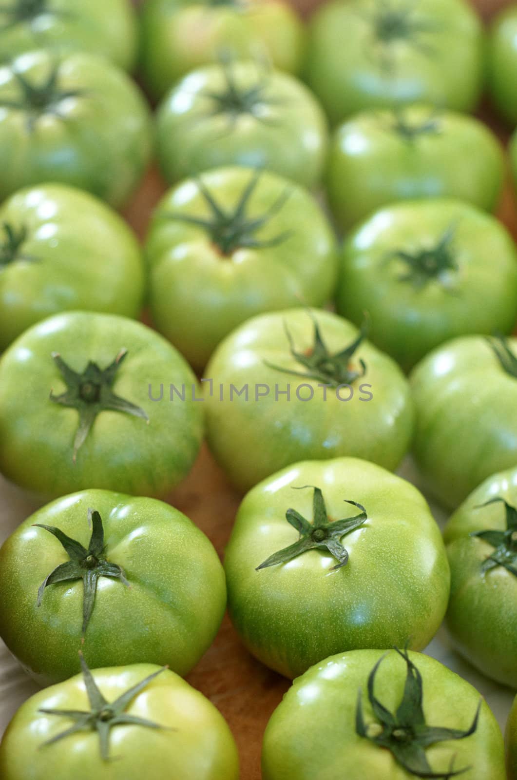 Fresh green tomatoes background by ozaiachin