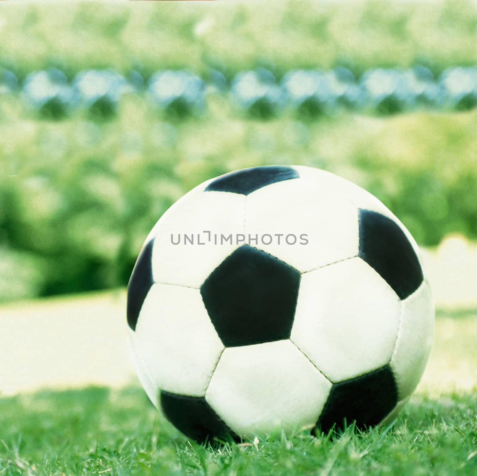 Football ball on the grass close up