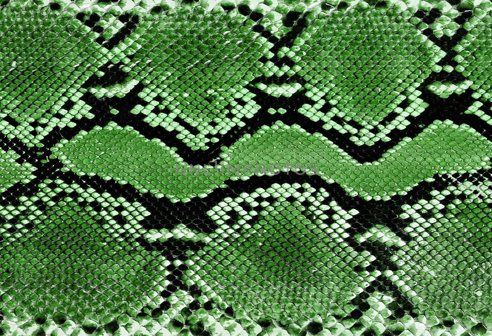crocodile skin