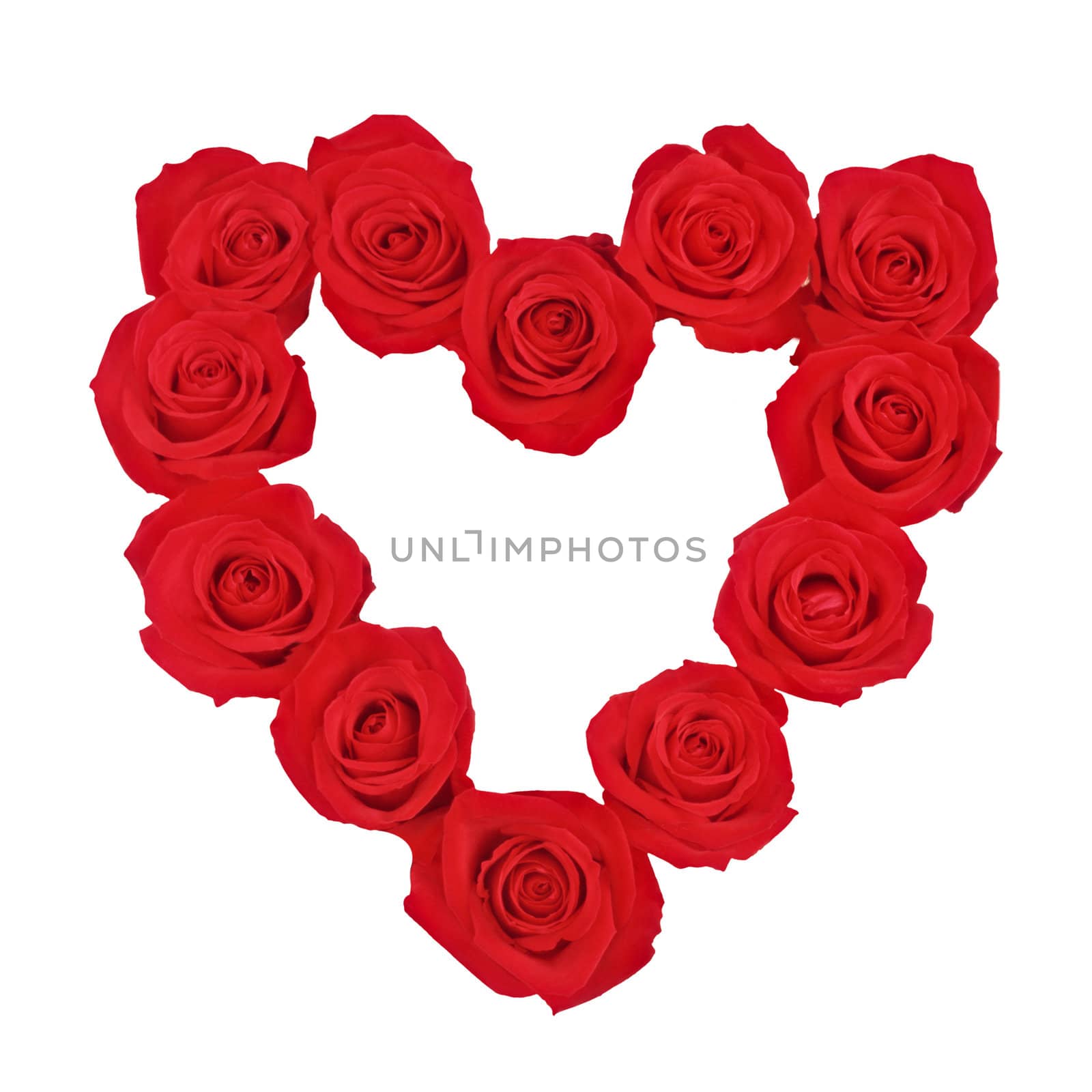 Heart of roses isolated on white background