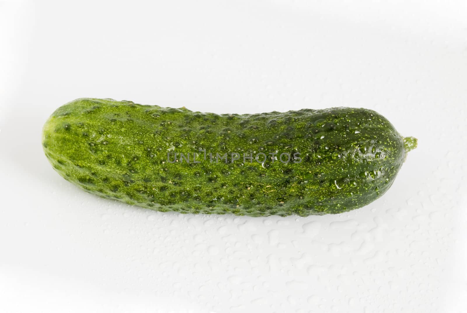 cucumber isolated on white background for sale