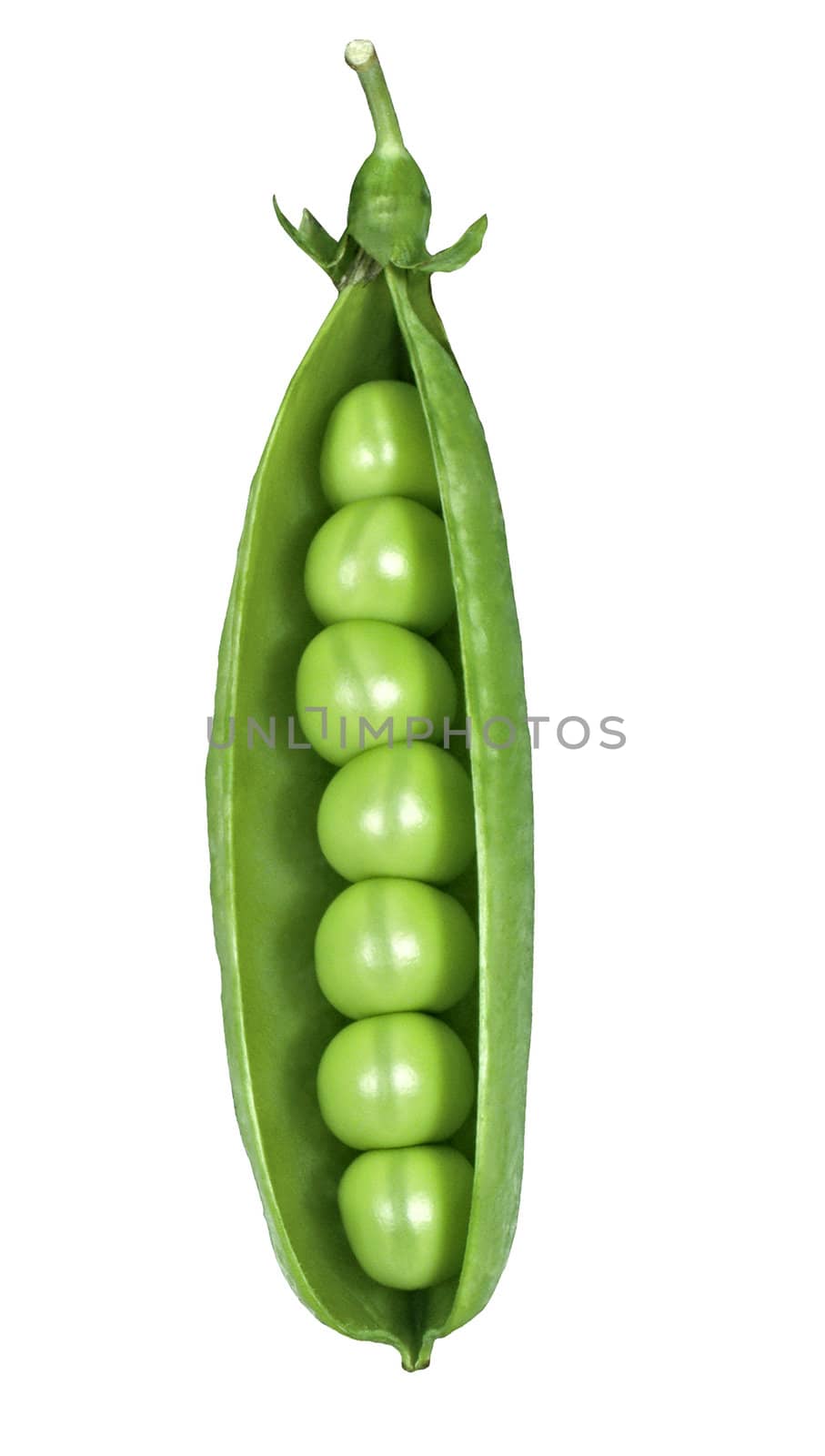 green peas isolated on a white background